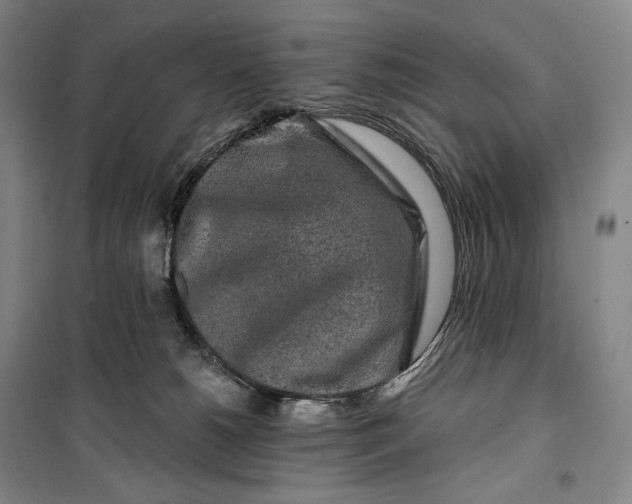 X0000099580180200806061635