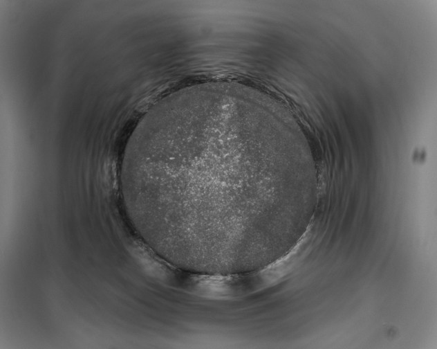 X0000099580182200806061635