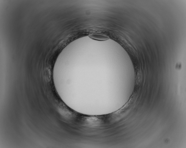 X0000099580183200806061635