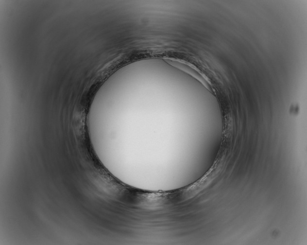 X0000099580184200806061635