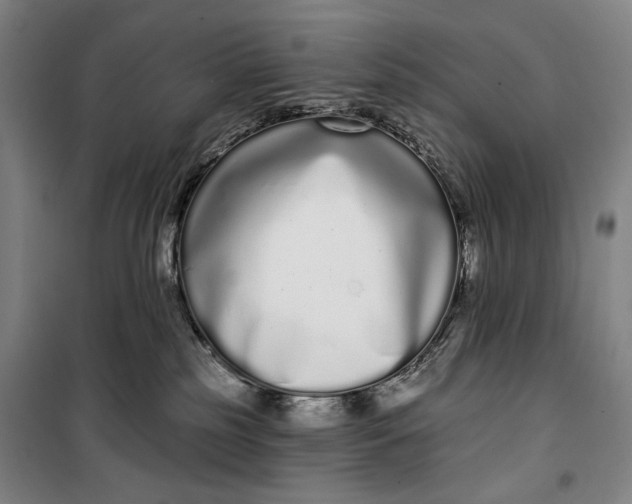 X0000099580185200806061635