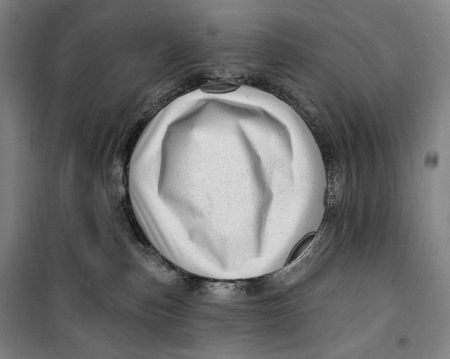 X0000099580187200806061635