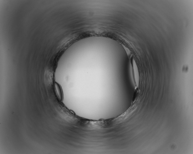 X0000099580188200806061635