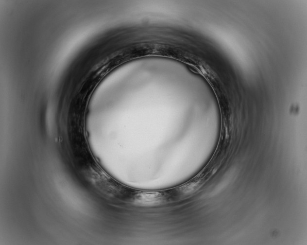 X0000099580189200806061635