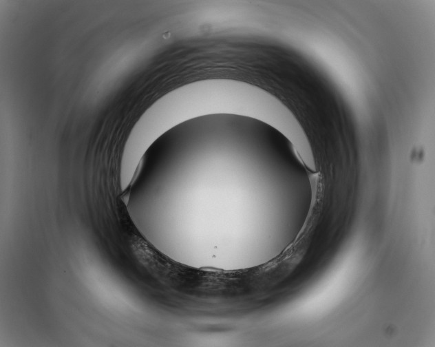 X0000099580190200806061635