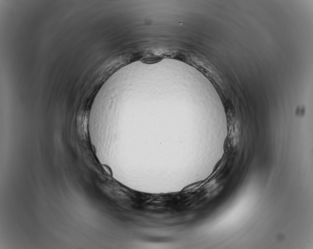 X0000099580191200806061635