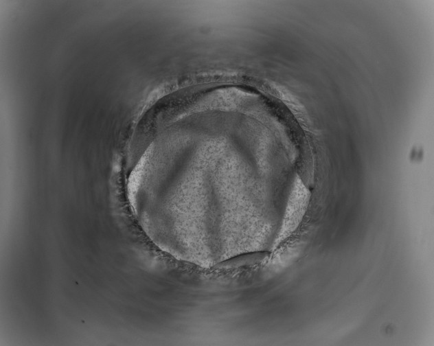 X0000099580192200806061635