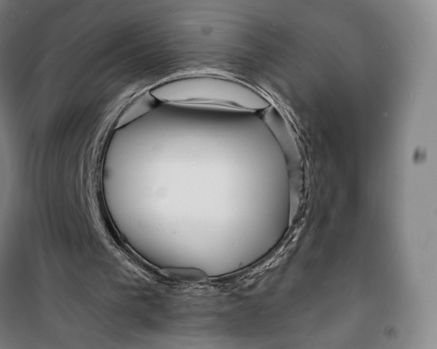 X0000099580193200806061635