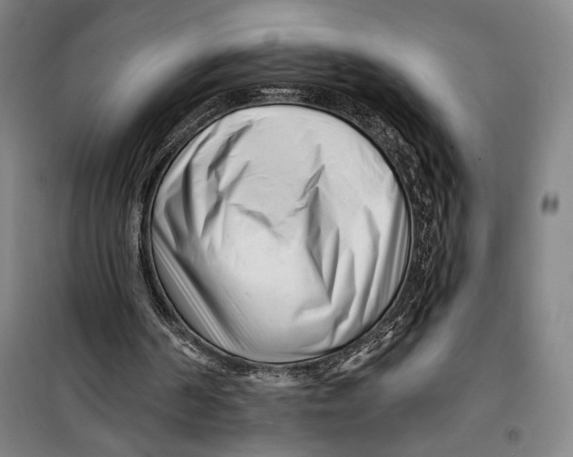 X0000099580194200806061635