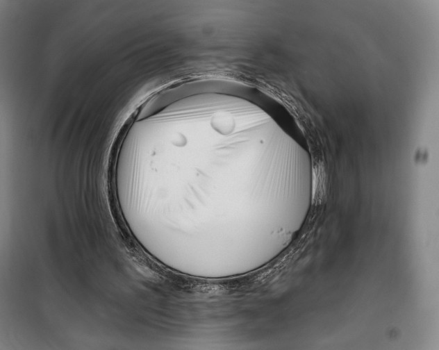 X0000099580195200806061635