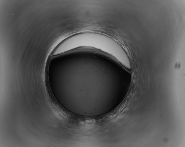 X0000099580196200806061635