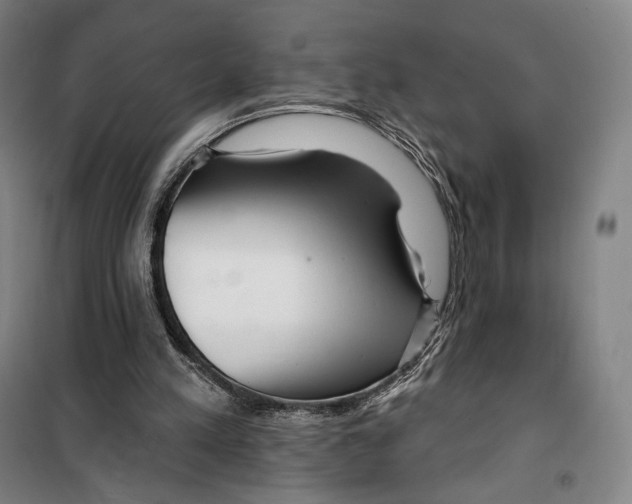 X0000099580197200806061635