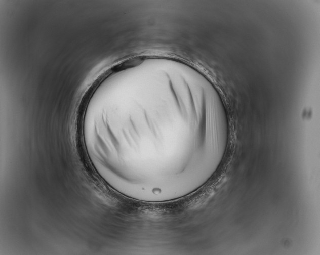 X0000099580199200806061635