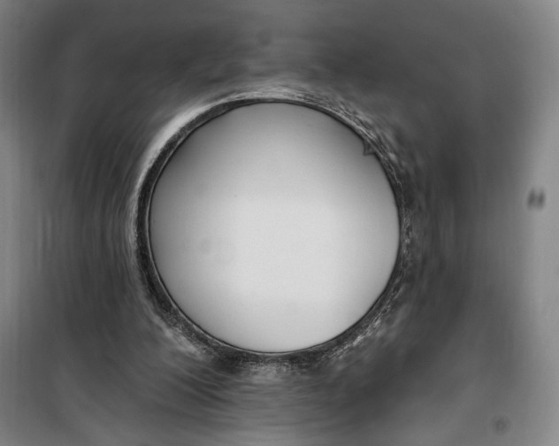 X0000099580200200806061635