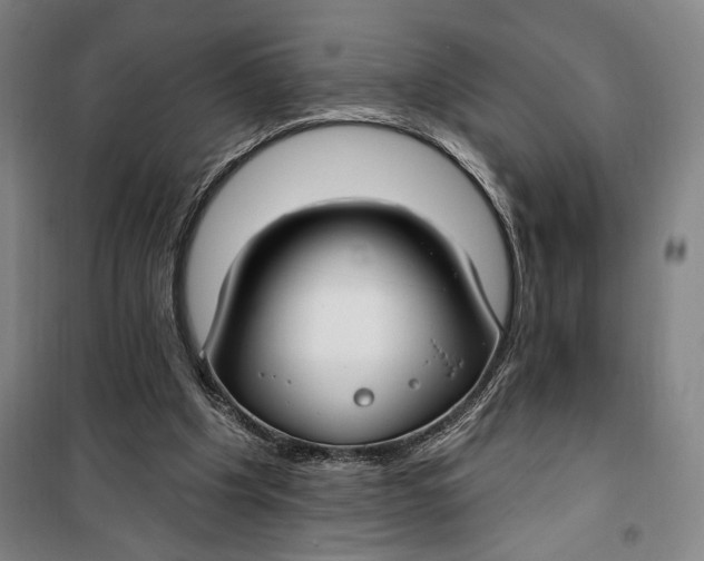 X0000099580201200806061635