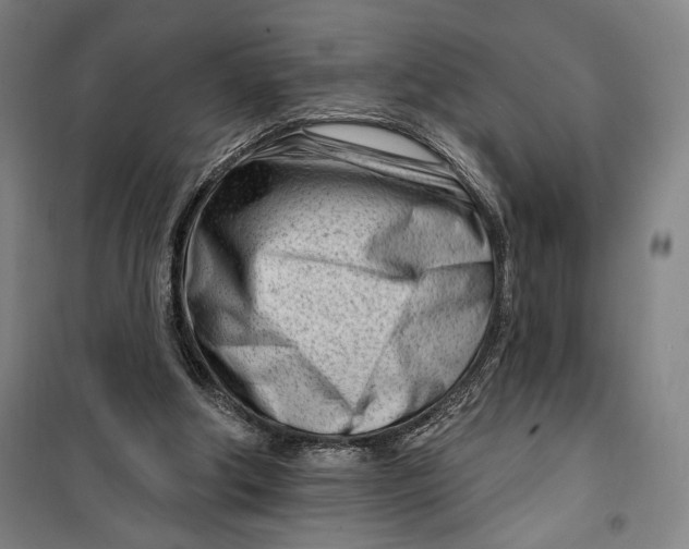 X0000099580202200806061635