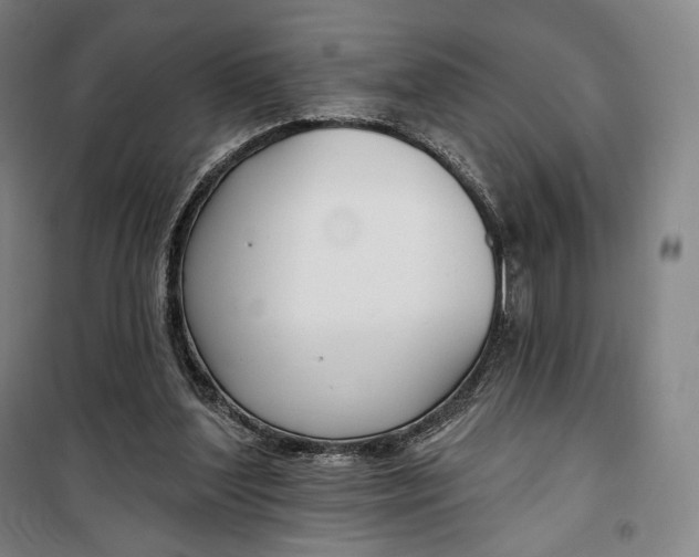 X0000099580204200806061635