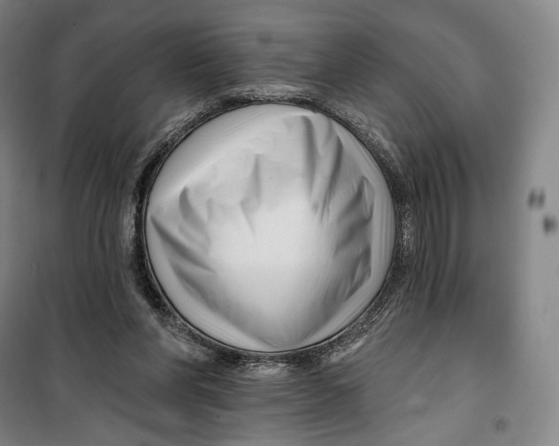 X0000099580206200806061635