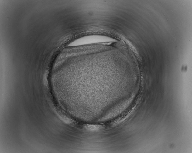 X0000099580209200806061634