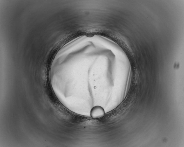 X0000099580210200806061634