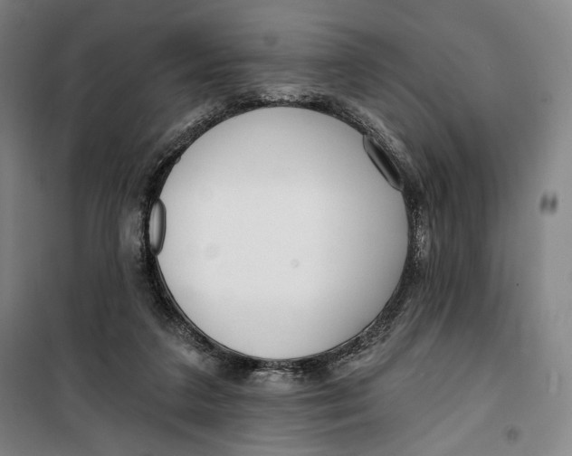 X0000099580211200806061634