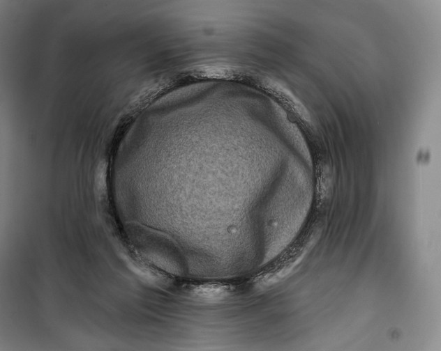 X0000099580213200806061634