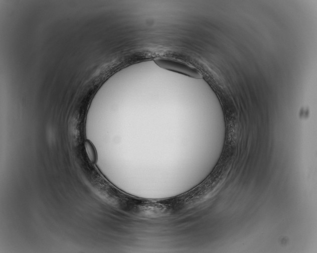 X0000099580215200806061634