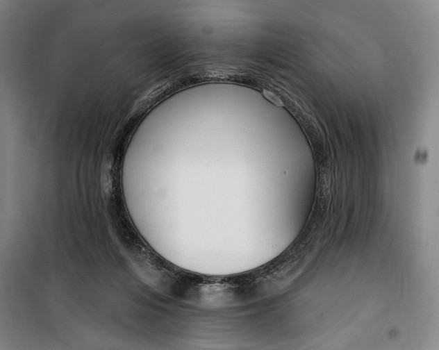 X0000099580216200806061634