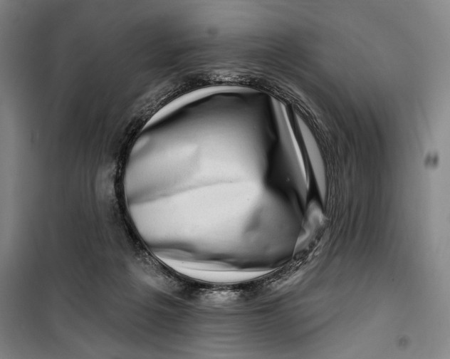 X0000099580217200806061634