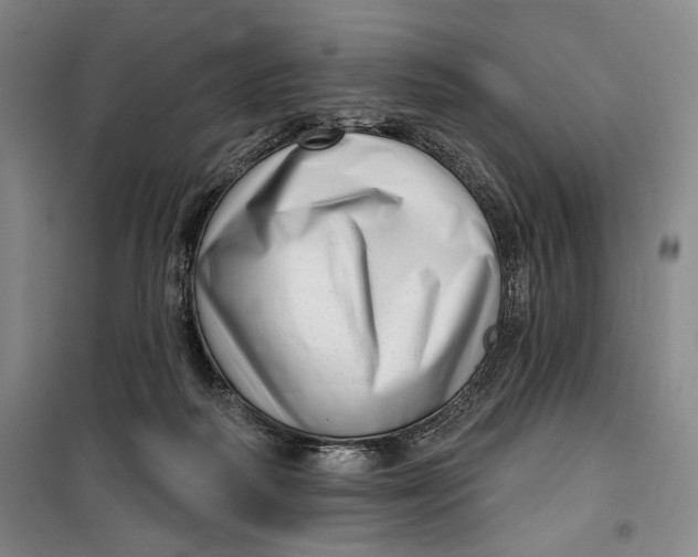 X0000099580218200806061634