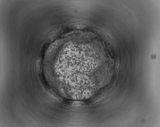 X0000099580222200806061634