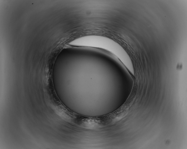 X0000099580223200806061634