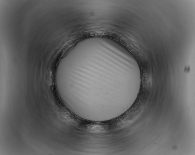 X0000099580224200806061634