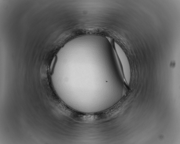 X0000099580225200806061634