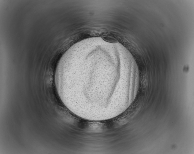 X0000099580226200806061634