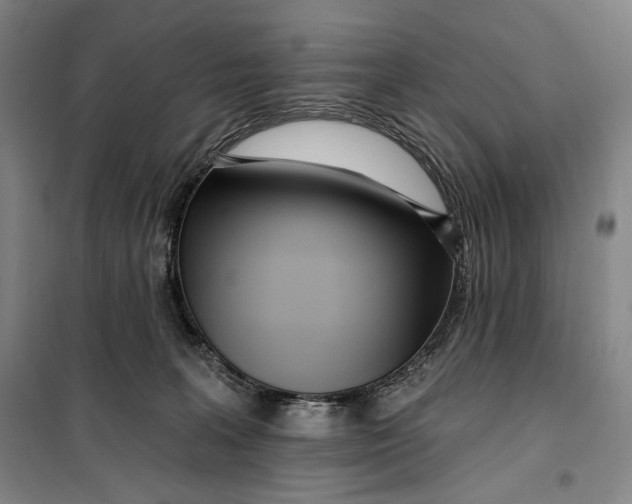 X0000099580227200806061634