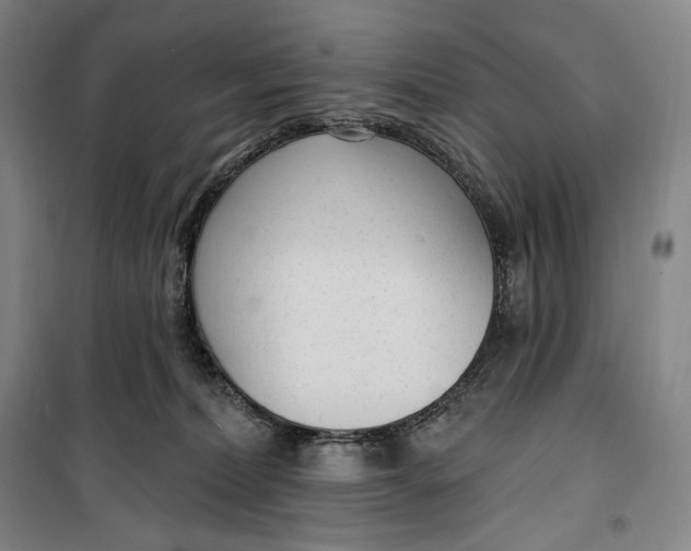 X0000099580228200806061634