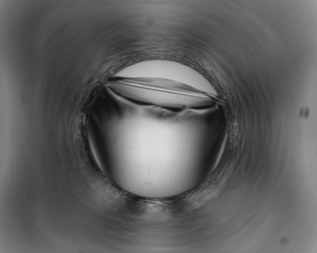 X0000099580229200806061634