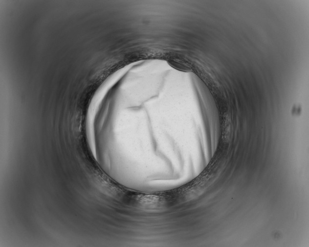 X0000099580230200806061634