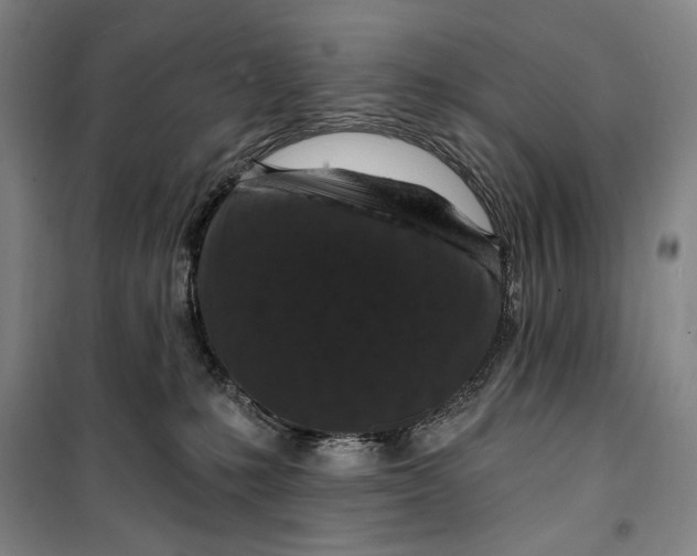 X0000099580231200806061634