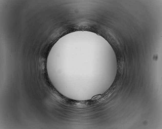 X0000099580232200806061634