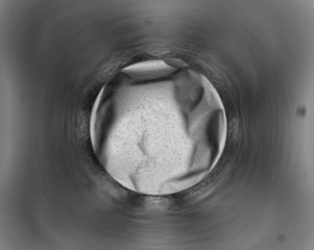 X0000099580234200806061634