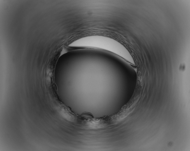 X0000099580235200806061634