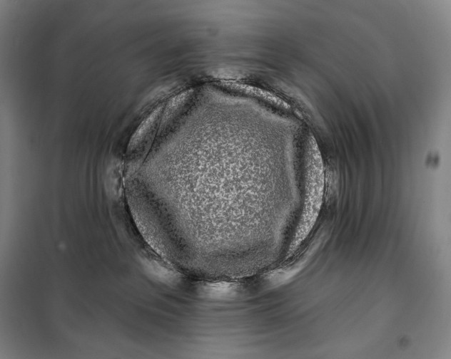 X0000099580237200806061634