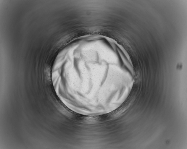 X0000099580238200806061634