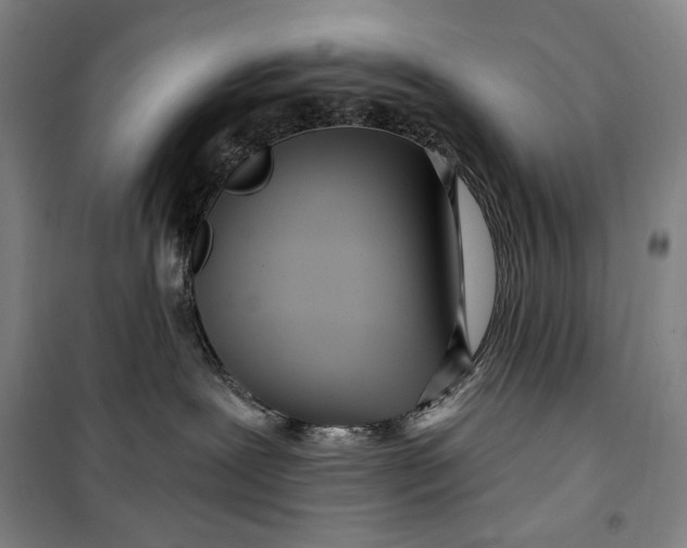 X0000099580239200806061634