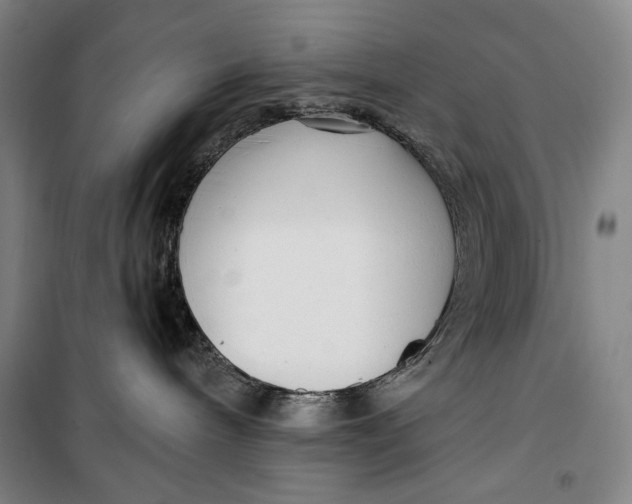 X0000099580240200806061634