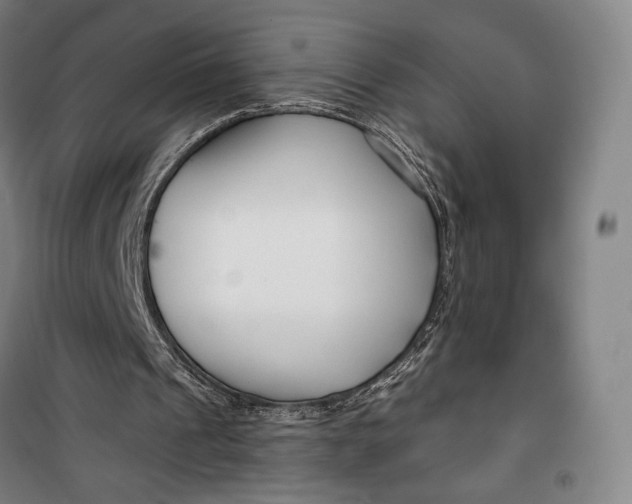 X0000099580241200806061633