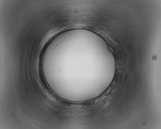 X0000099580242200806061633