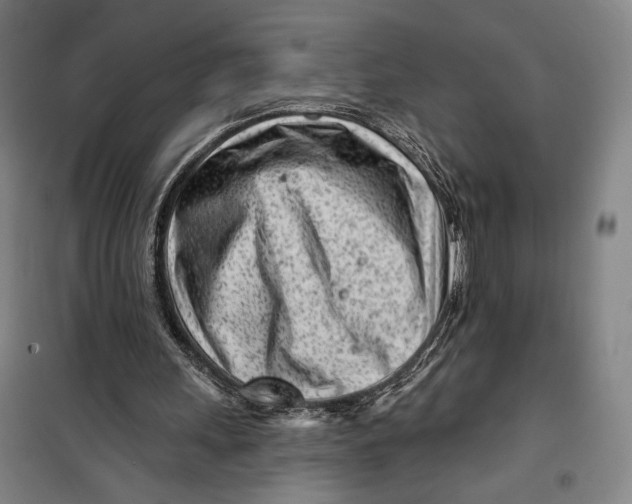 X0000099580243200806061633